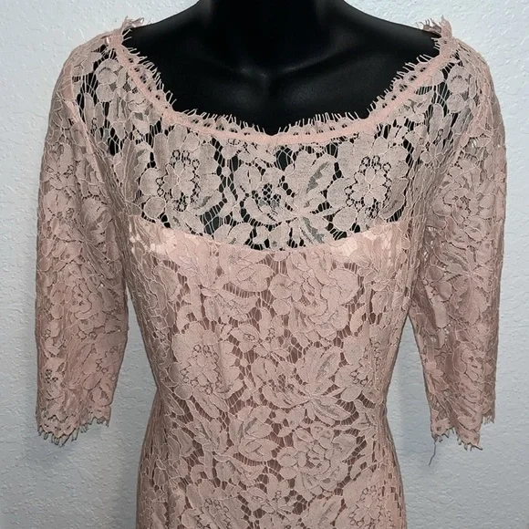 Eliza J blush pink lace overlay dress NWT size 14